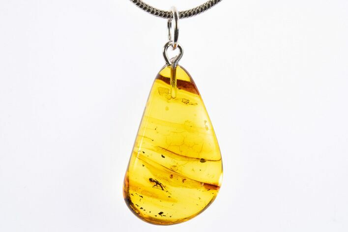 Polished Baltic Amber Pendant (Necklace) - Contains Fly! #322038